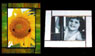 picture frames